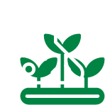 Botanical Ingredients